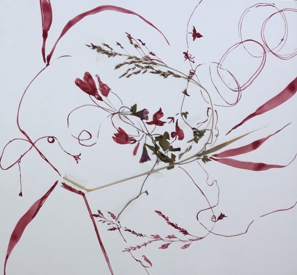 Deborah Mersky, Big Red Meadow