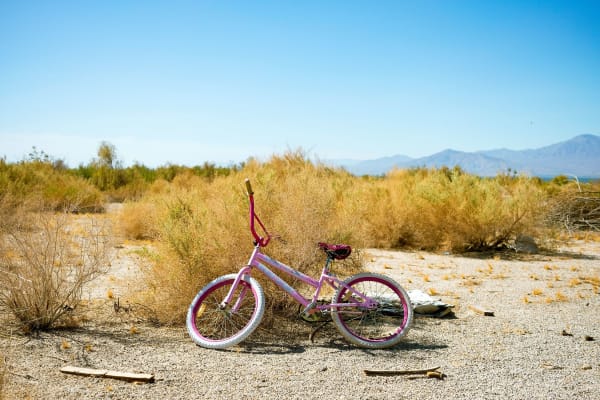 William Greiner, Pink Bicycle, Sultan Sea CA, 2021