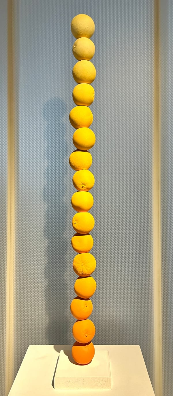 Ariel Davis, Sunburst , 2025