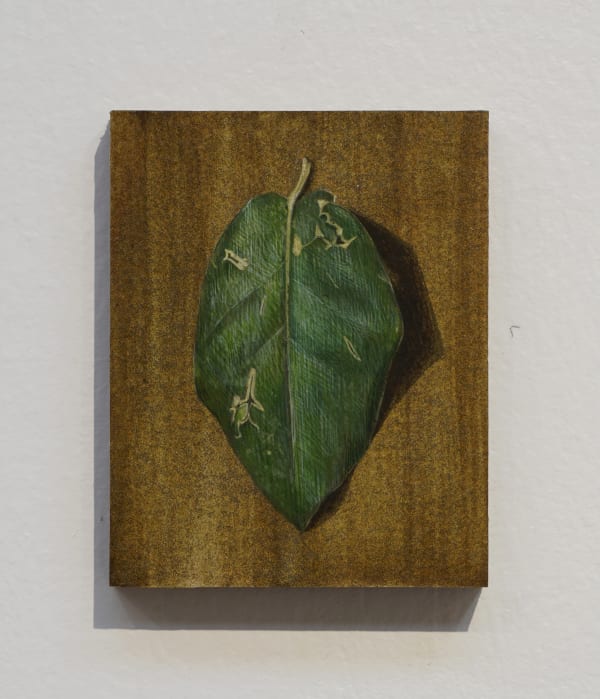 Mihee Nahm, Debris, 2022