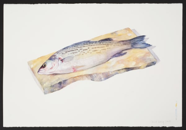 Carol Ivey, Sea Bass, 2019