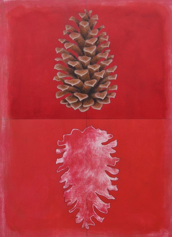 Layla Luna, Pinecone, 2015