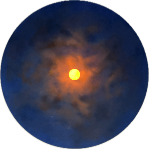 Ariel Davis, You Are Always There, 2025