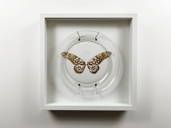Bernardo Vallarino, Gastronomical Paradox - Algeria , 2022
