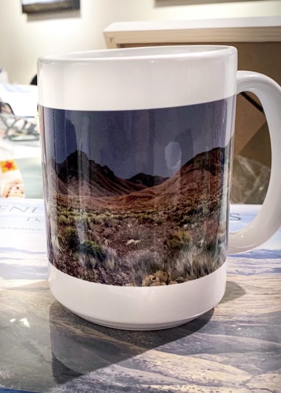Dennis Blagg, Dry Ocotillos MUG
