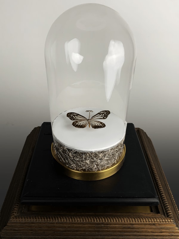 Bernardo Vallarino, Pinned Memory -The Truth May Be Hidden But Is Never Gone, 2022
