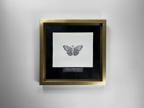Bernardo Vallarino, Papilio Derilectus - Guatemala , 2022