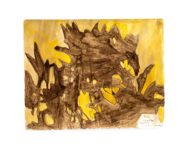 Carroll Swenson-Roberts, Daphne Shadow, 2024