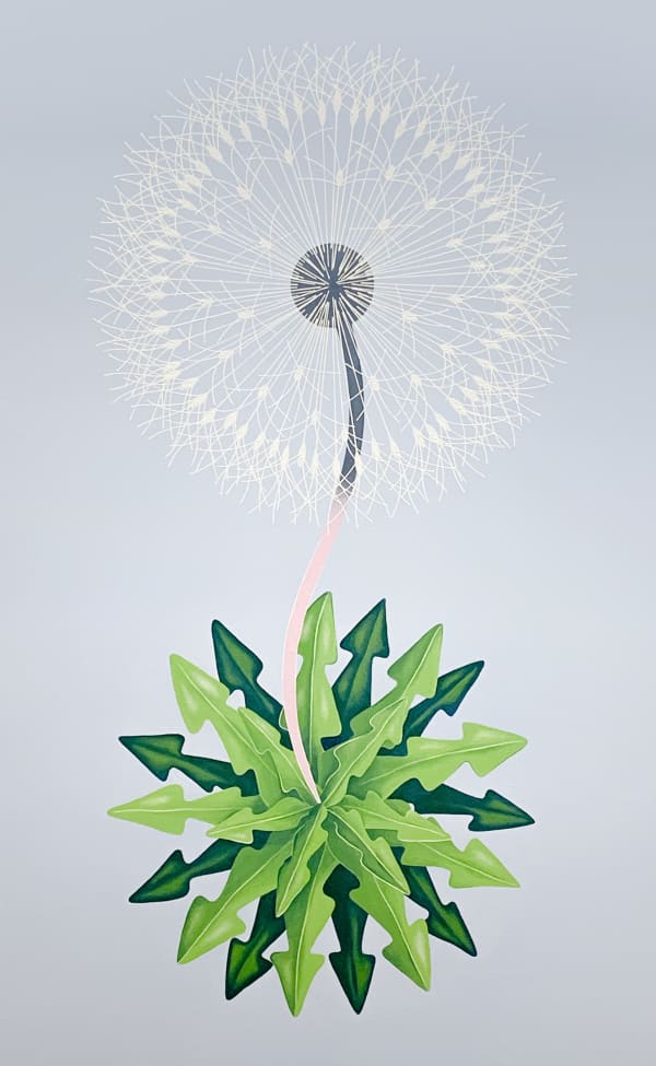 Peter Harrington, New World Dandelion