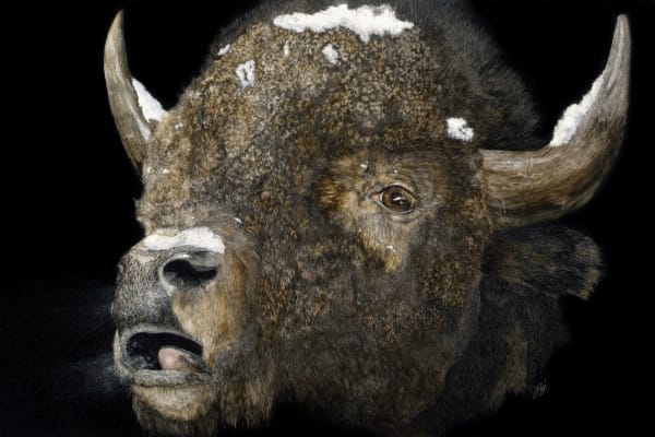 George Ann Johnson, Cold Night, 2018