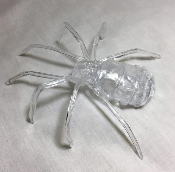 John Rossman, Tarantula, 2017