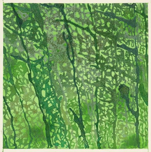Madeline Irvine, Small Kelp