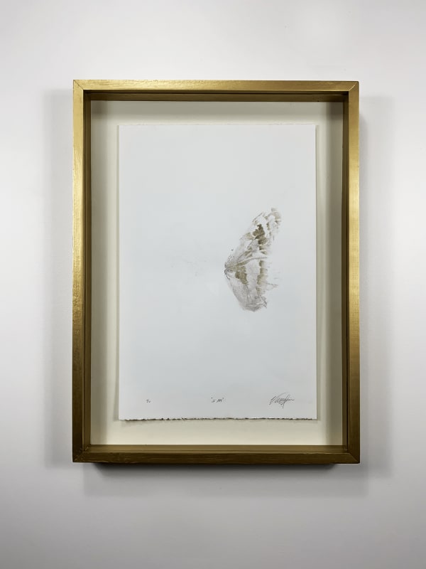 Bernardo Vallarino, I AM, 2022