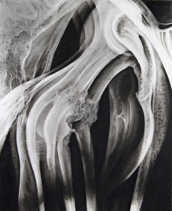 Philana Oliphant, Swallow's Bone, 2020