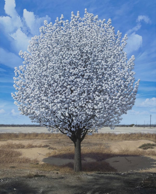 Pat Gabriel, Immanent Domain, 2020