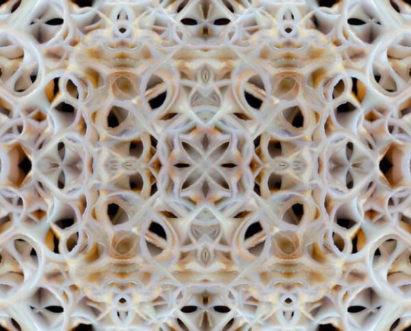 Westley Harwart, Untitled #30, 2023