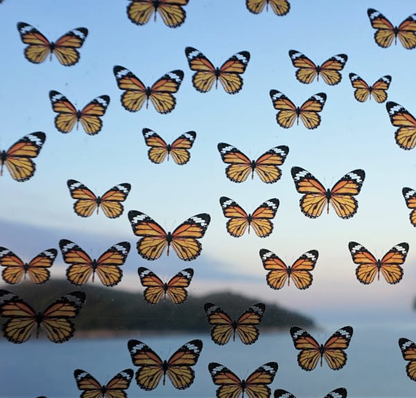 Robert McAn, Flight, 2019