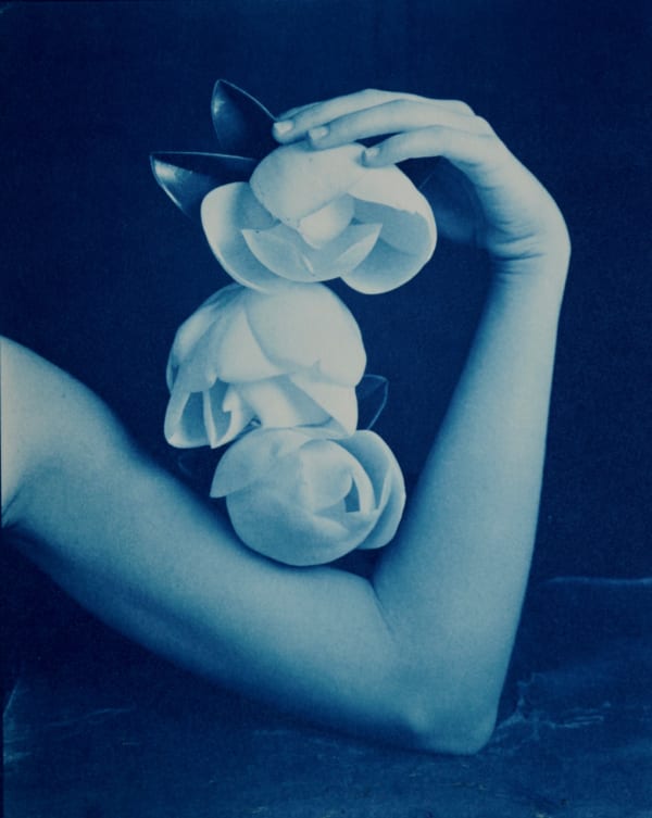Robert Langham, Triple Magnolias, 2019