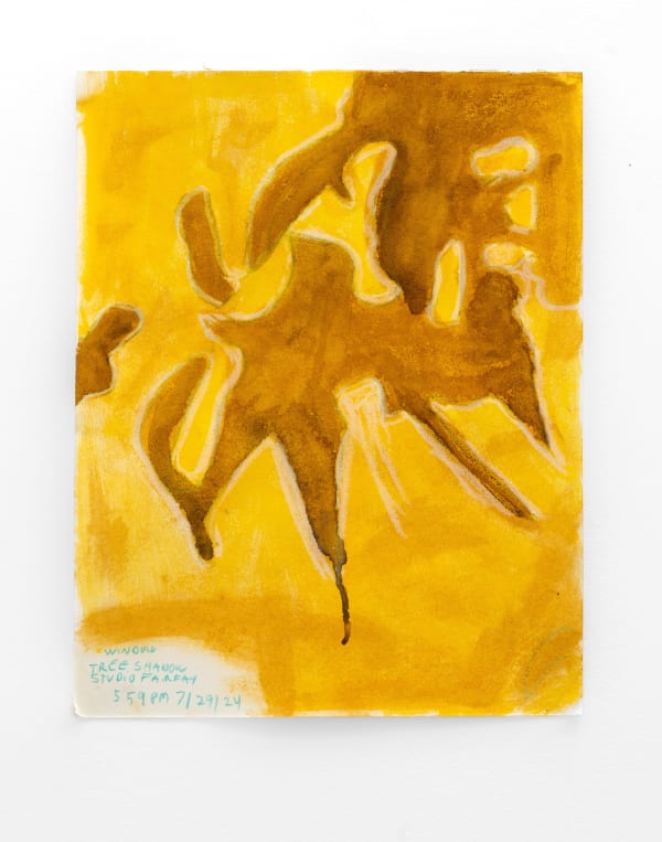 Carroll Swenson-Roberts, Tree Shadow, 2024