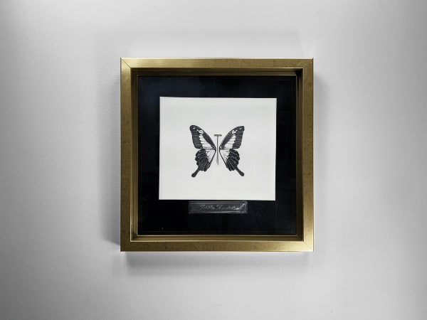 Bernardo Vallarino, Papilio Derilectus - Ethiopia, 2022