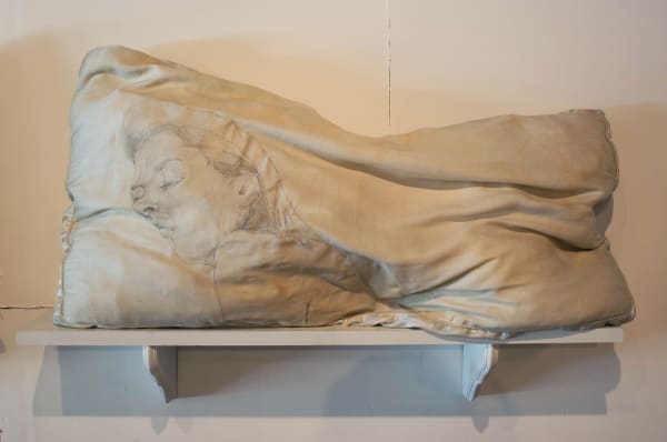 Kim Schaefer, Pillow II, 2017