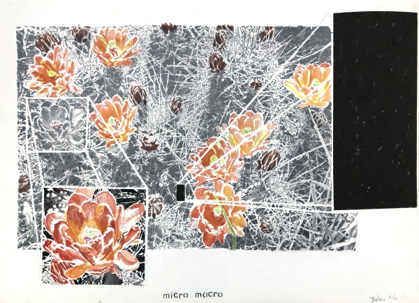 Jim Malone, Micro Macro