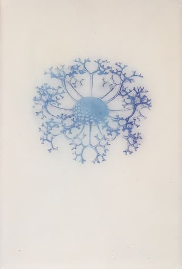 Jo-Ann Mulroy, Dandelions 1, 2008