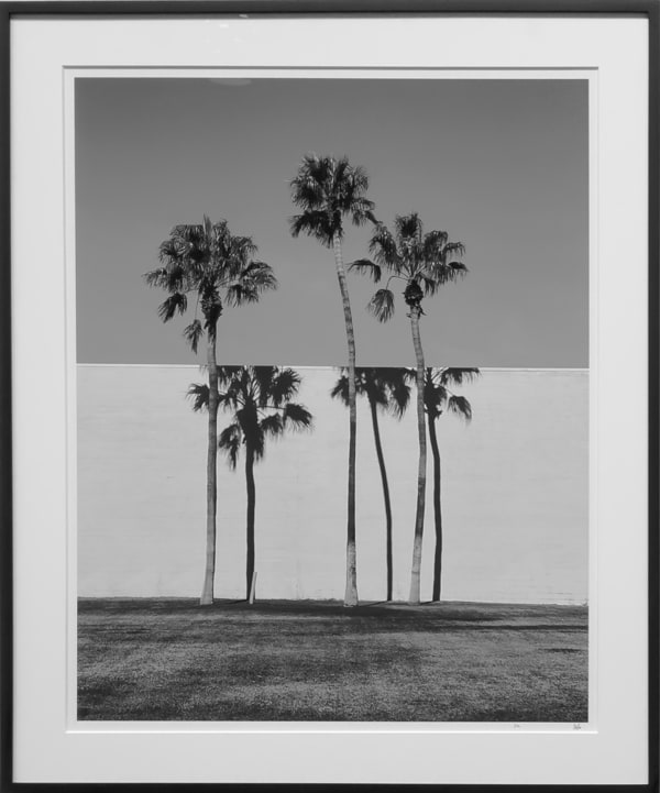 Ruben Tomas, Palm Springs Shadows