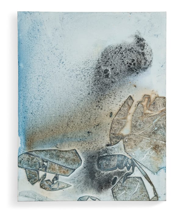 Rotem Reshef, Metallica, 2017