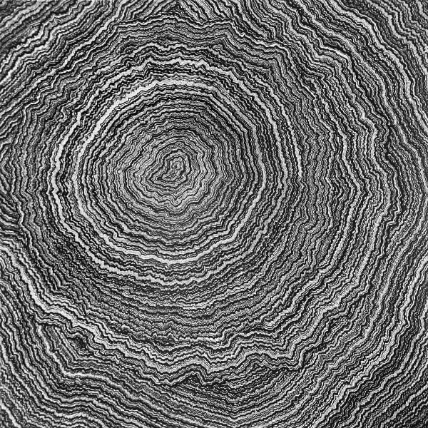 David Paul Kay, Lifespan 090720, 2020