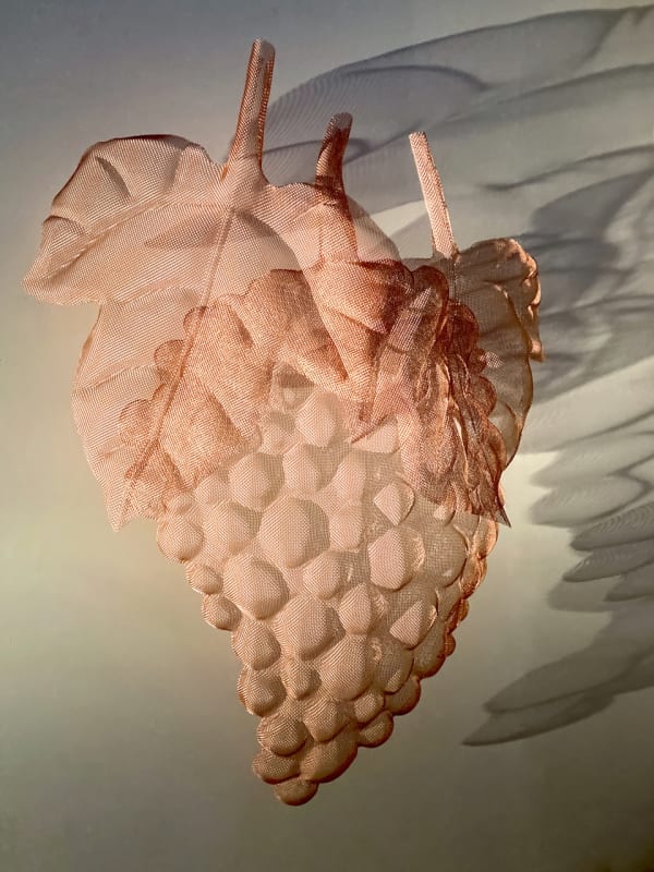 David Begbie, GRAPPOLOS, 2023