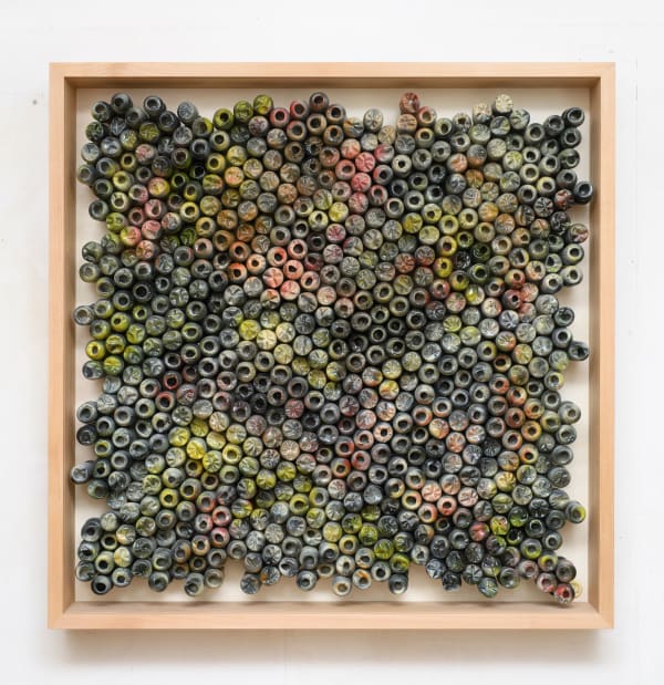 Cristiano Petrucci, Semi di Polvere, 2024