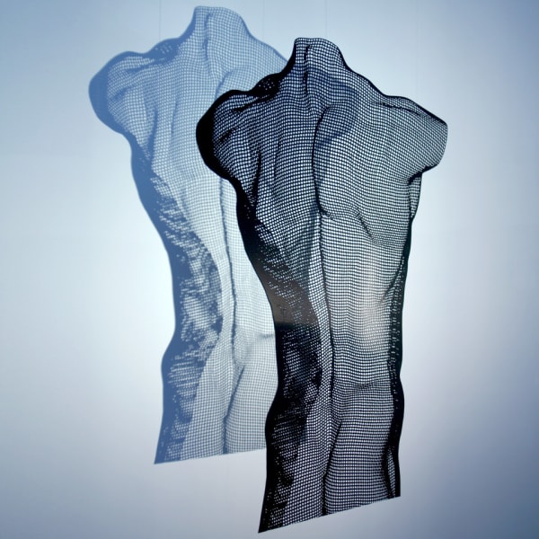 David Begbie, NUWD Male Back Torso, 2017