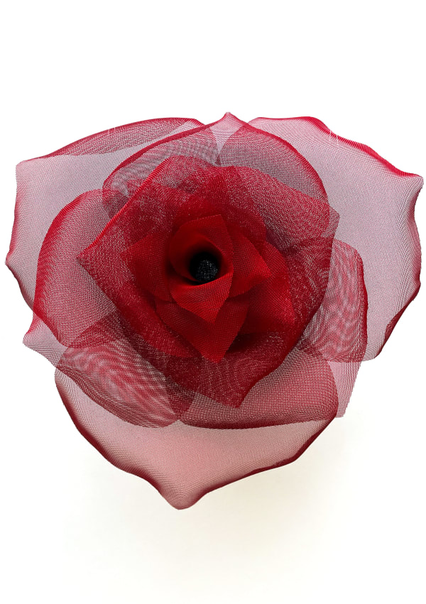 David Begbie, EROSE, 2024