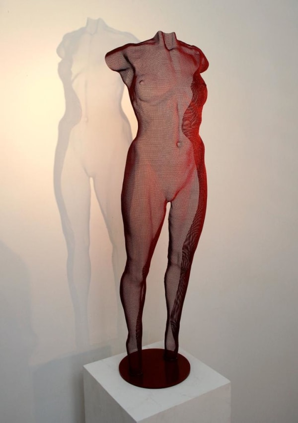 David Begbie, RUDU, 2010