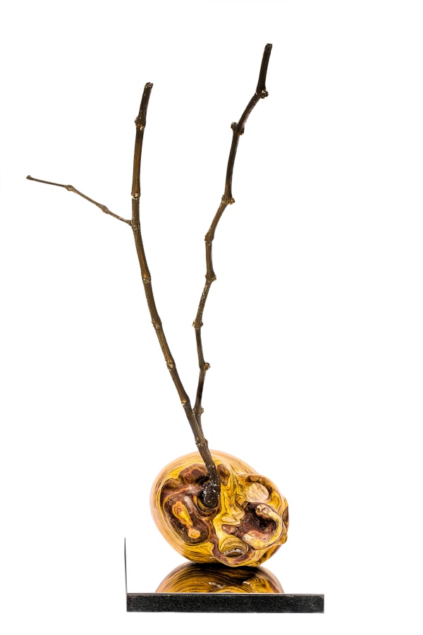 Michelangelo Galliani, Vanitas, 2021