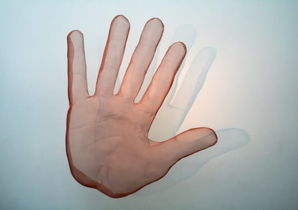 David Begbie, ’PALM I’ 2007, 2007