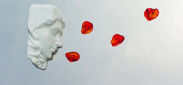 Michelangelo Galliani, Rose on the mirror, 2018