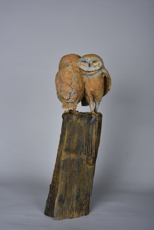 owls, couple owls, bronze owl, owl sculpture, bird sculpture, marie thys, belgian artist, bronze sculpture, animal, art thema, artthema, art, thema, arles, souith of france, camargue, animal, animal sculpture, bird, birds, orange owl, art gallery