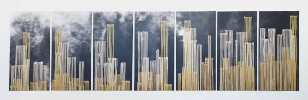 ZEVS, Septic paintings