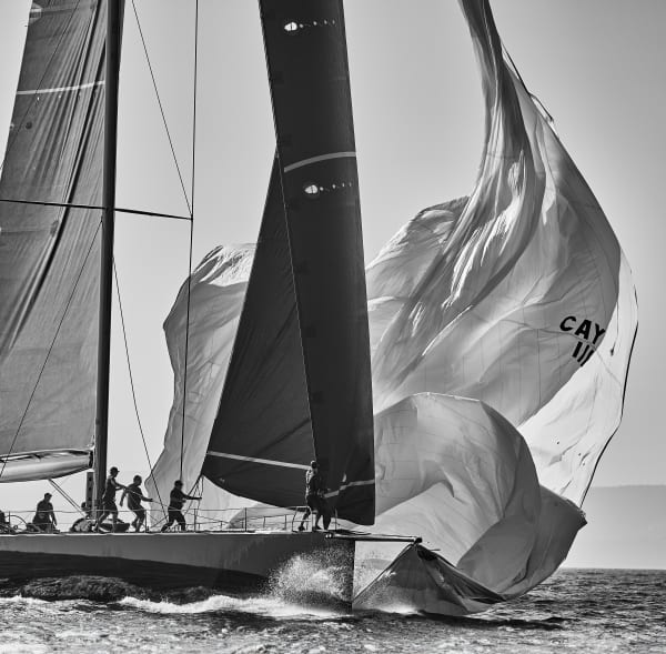 Kurt Arrigo, Photography; Take Down