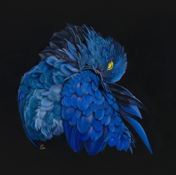 Priya Gore, Eternal Romance