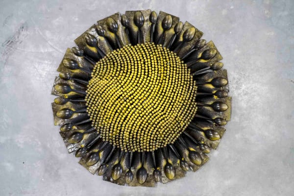 Olu Amoda, Small Sunflower VII, 2014