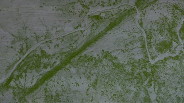 Abraham Oghobase, What If Austria Had Colonized Nigeria #12 Map #2, 2017