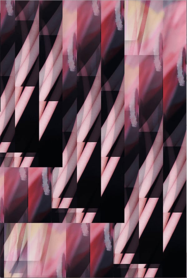 Namsa Leuba, Fleur I from the series "illusion" made in Tahiti , 2019