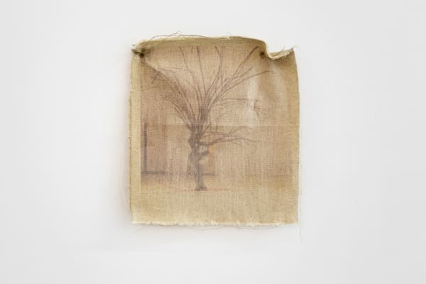 Betty Pomerleau, Lucky loci gris fragiles, 2024