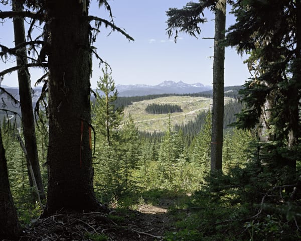Garnet Dirksen, HBC Trail past Lodestone Lake, Syilx and Nlaka’pamux territories, 2020