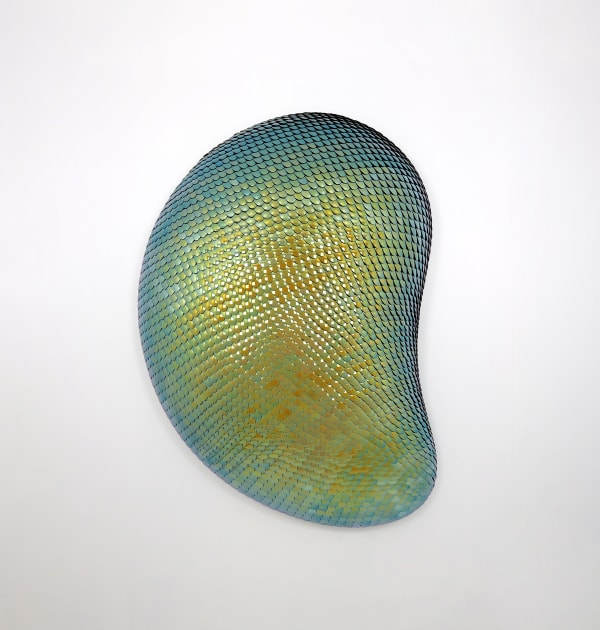 Eelco Hilgersom, Liberated Olive, 2025