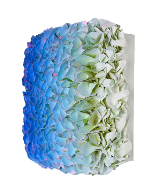 Zhuang Hong Yi, Flowerbed, M20cm, 2025