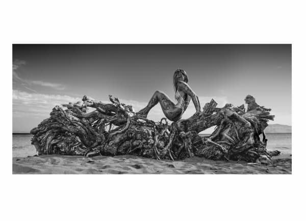 Leonardo Cóndor, La última Sirena, 2025